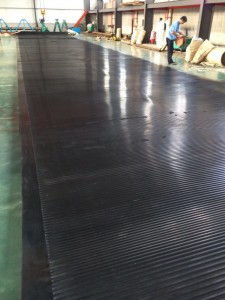 Filter Conveyor Belt