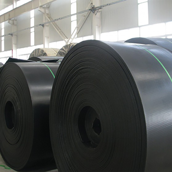 EPNNCC Fabric Conveyor Belt(2)